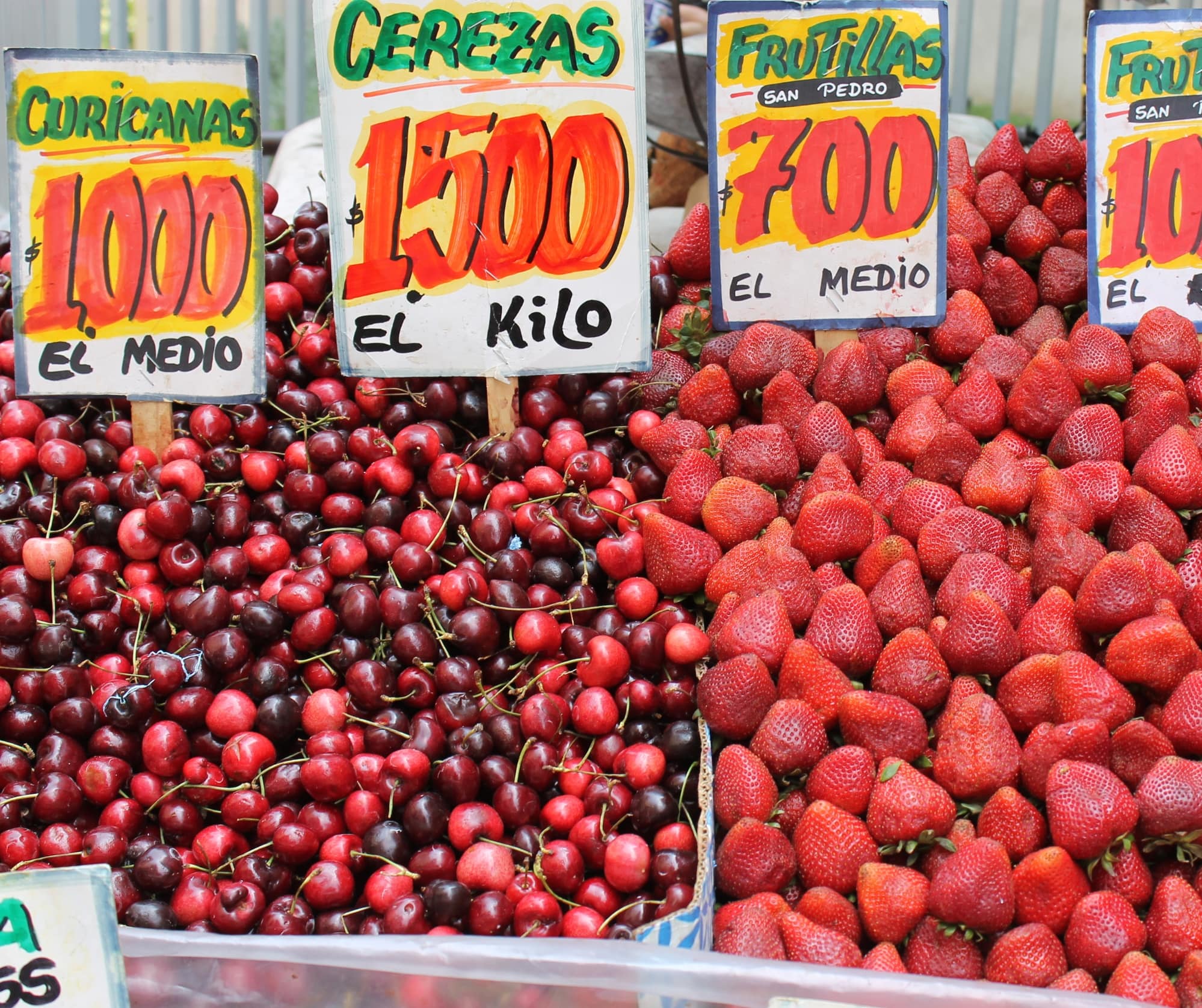 チリ スペイン・中南米への留学ならスペイン留学.jp